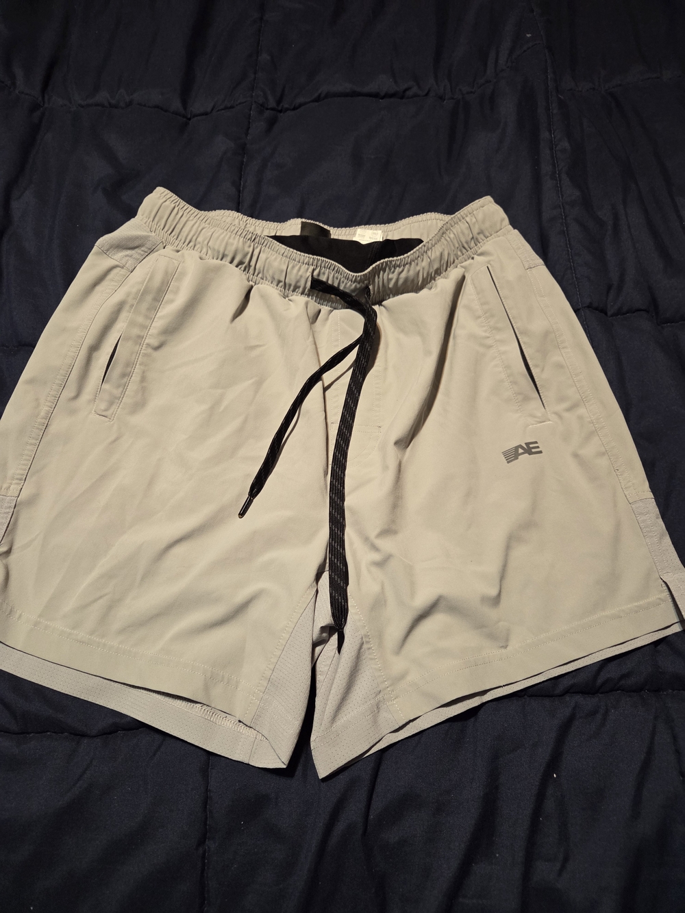 American Eagle Outfitters Men's Performance Shorts in Gray